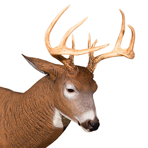 Posturing Buck Dave Smith Decoys