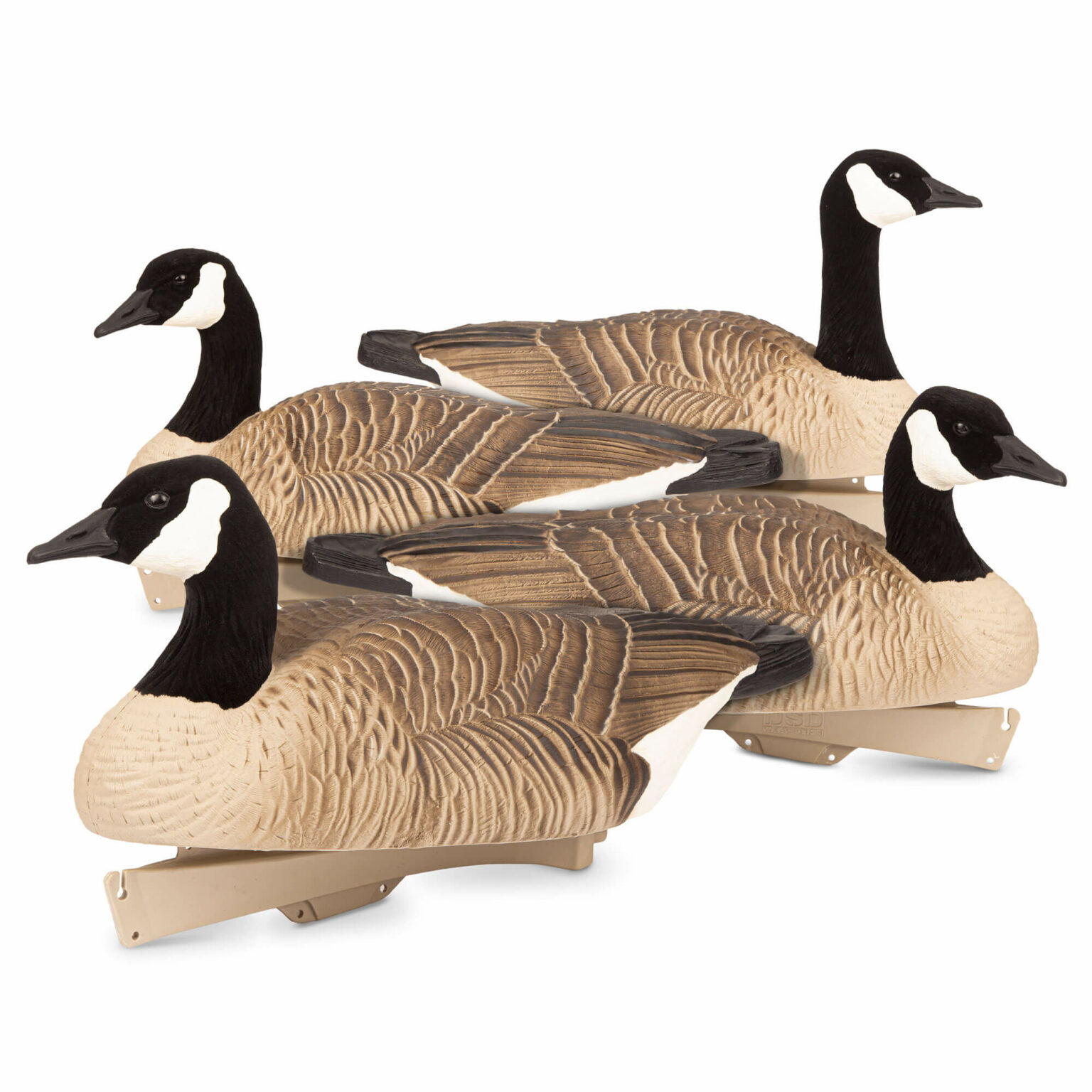 Maximas Floater 4Pack Dave Smith Decoys