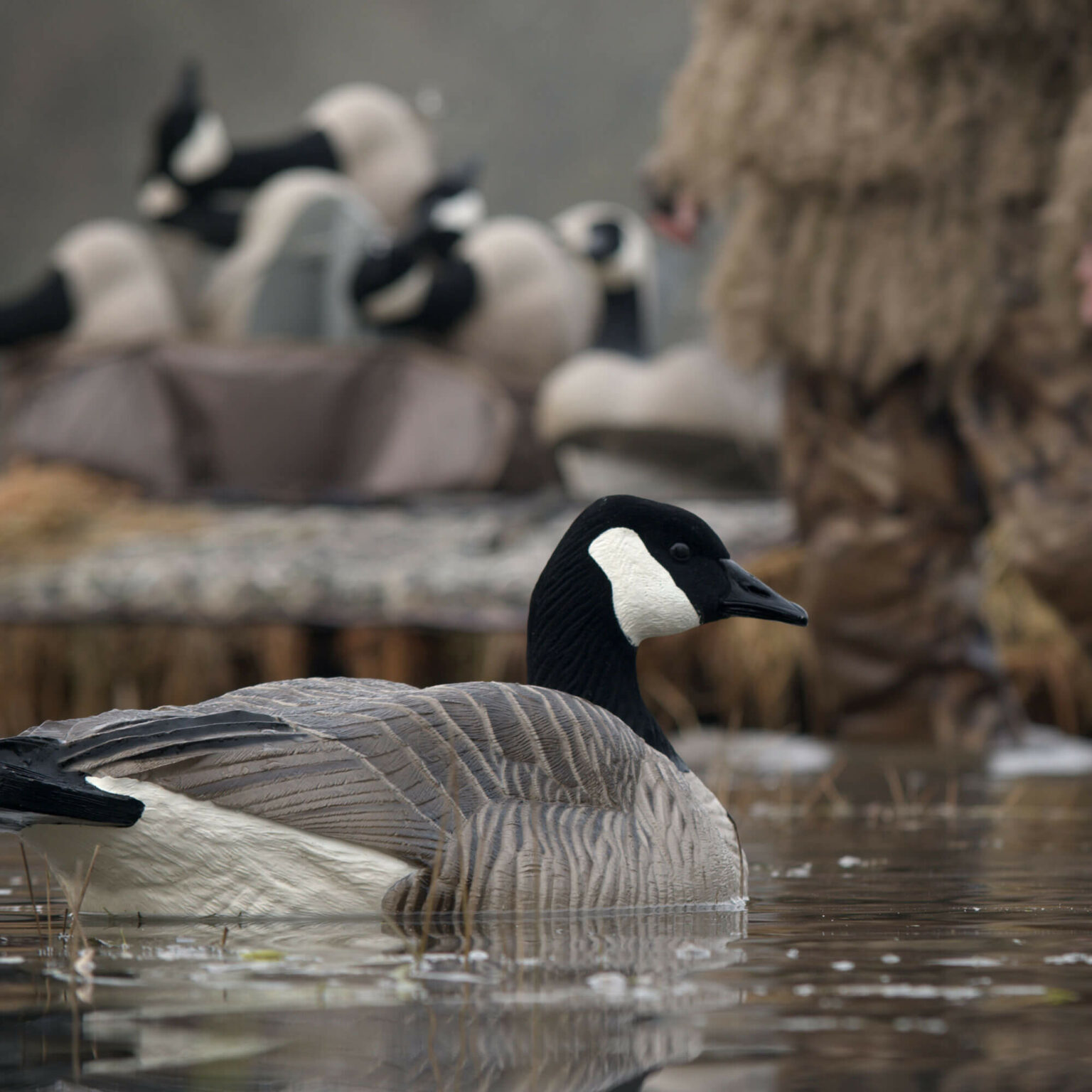 Maximas Floater 4Pack Dave Smith Decoys