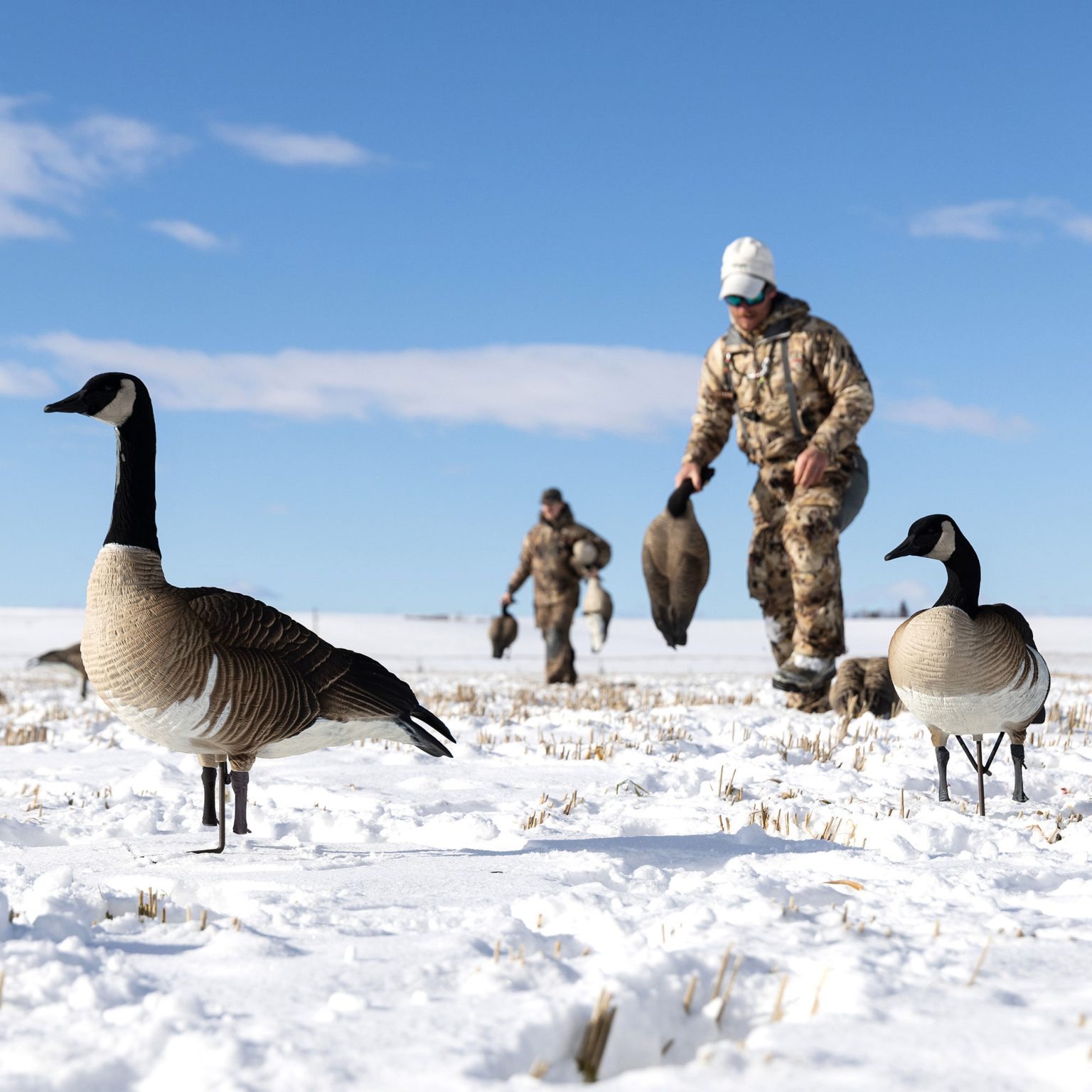 Honkers Quills 2Pack Dave Smith Decoys