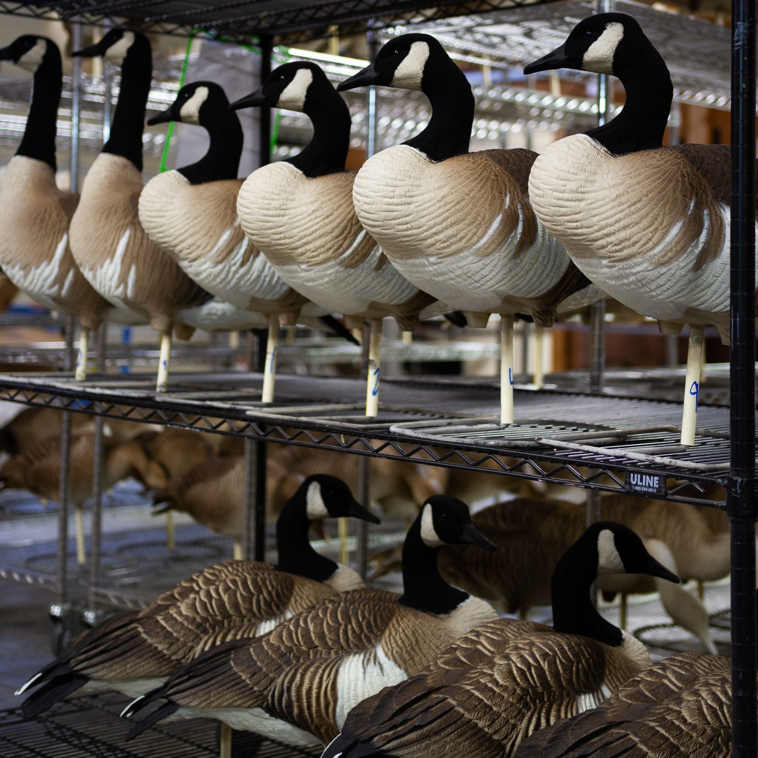 Honkers Quills 2Pack Dave Smith Decoys
