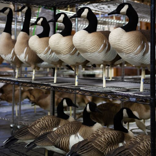Honkers | Quills 2-Pack - Image 4