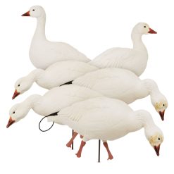 Snow Goose | Combo 6-Pack