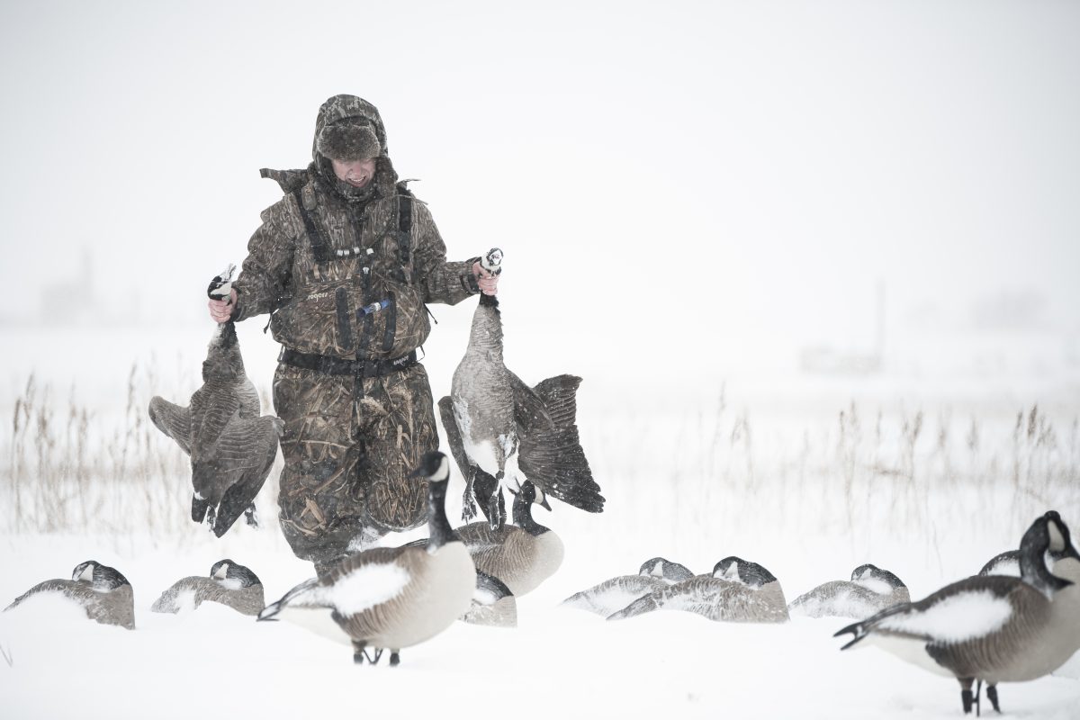 Black Armour Flocking Kit – Dave Smith Decoys