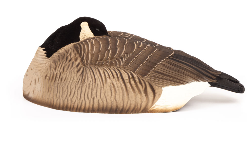 Maximas | Sleeper Shell 6-Pack – Dave Smith Decoys