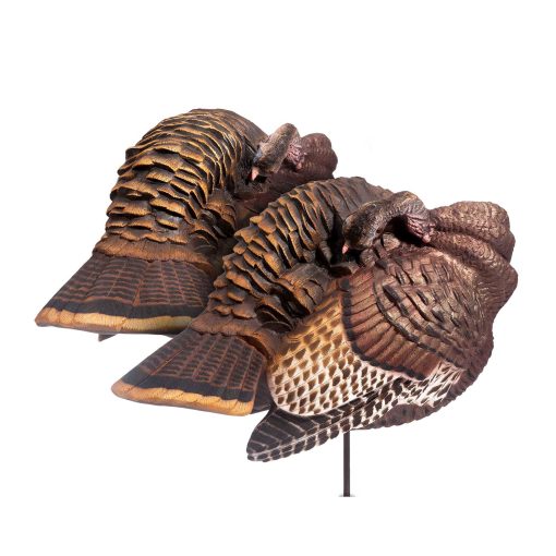Preening Pair