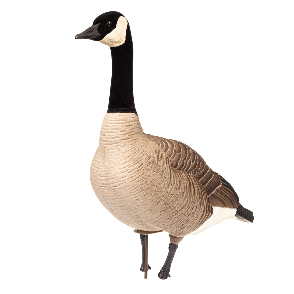 Maximas | Full Body Combo 4-Pack – Dave Smith Decoys