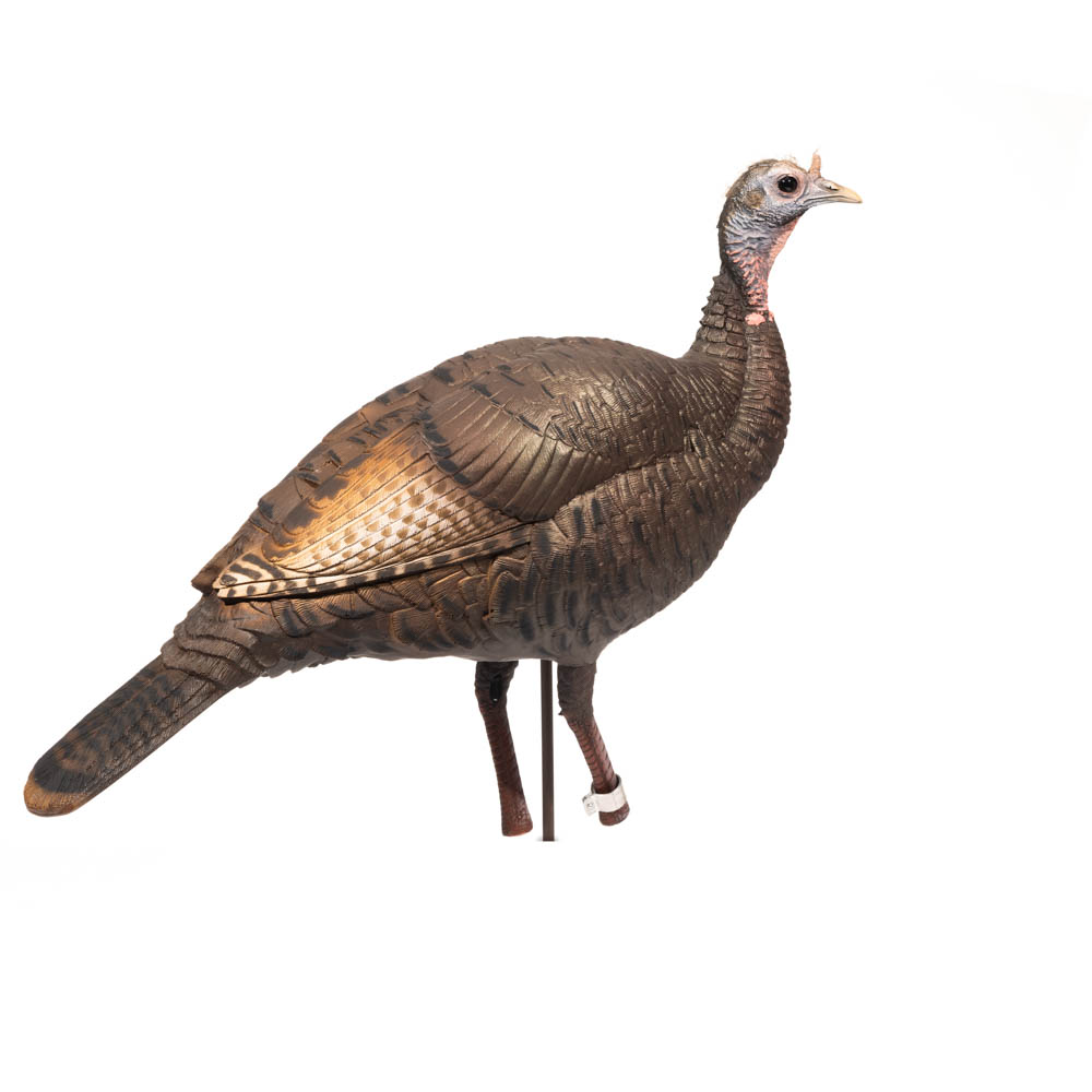 dsd-limitedseries-fuzzyheadhen