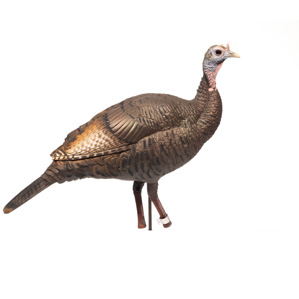 Limited Turkey | 25th Anniversary Hen – Dave Smith Decoys