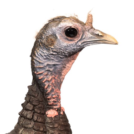 Limited Turkey | 25th Anniversary Hen - Image 8