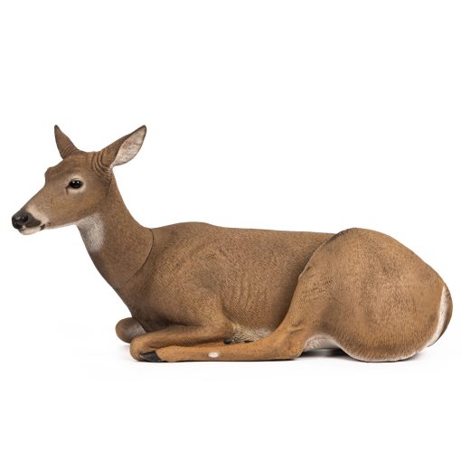 Bedded Doe