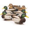 A.C.E. Mallards | 6-Pack
