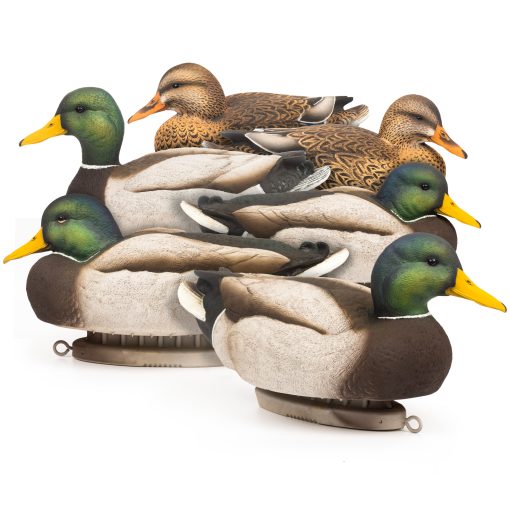 A.C.E. Mallards | Floater 6-Pack