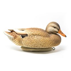 Limited Series | Blonde Hen