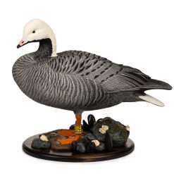 Limited Series Auction | Emperor Goose