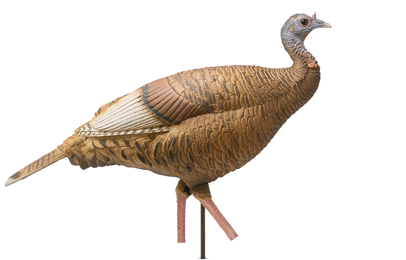 Limited Series | Red Phase Hen – Dave Smith Decoys