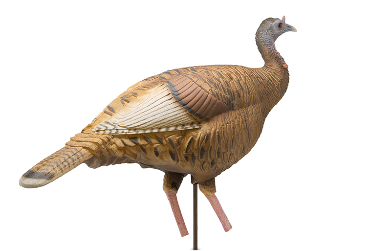 Limited Series | Red Phase Hen – Dave Smith Decoys