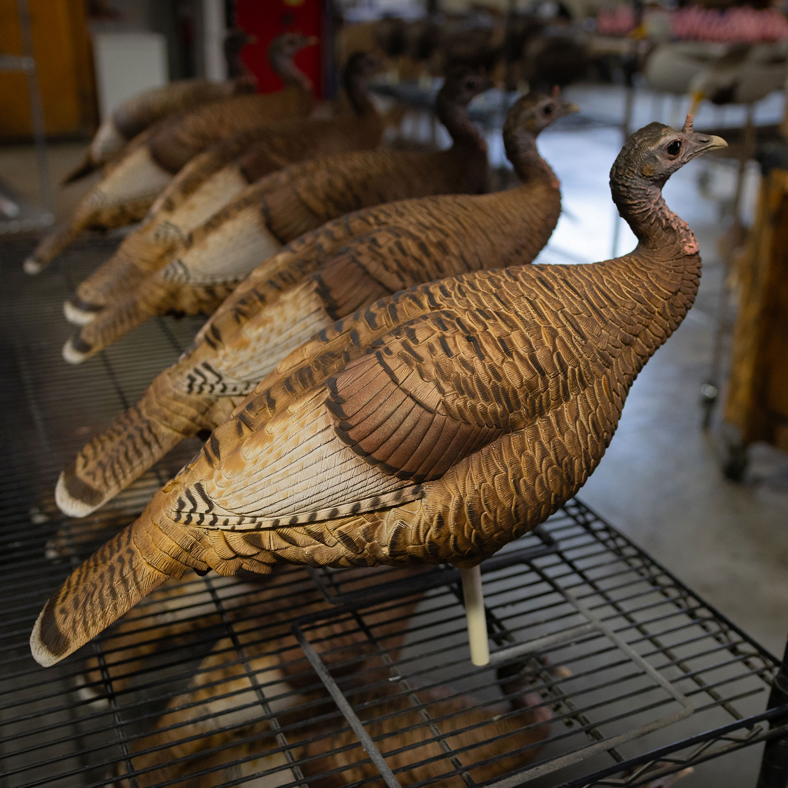 Limited Series | Red Phase Hen - Image 4