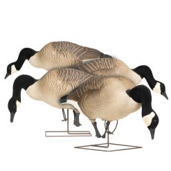 Maximas | Full Body Feeder 4-Pack