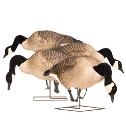Maximas | Full Body Feeder 4-Pack