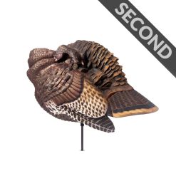 Preening Hen | Second