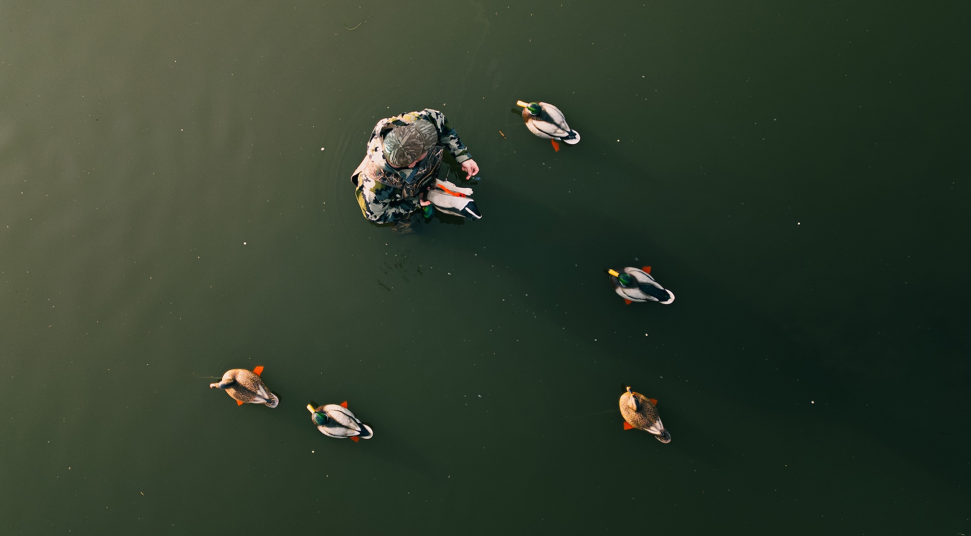 hunter in water with goose decoys - feet visible from above