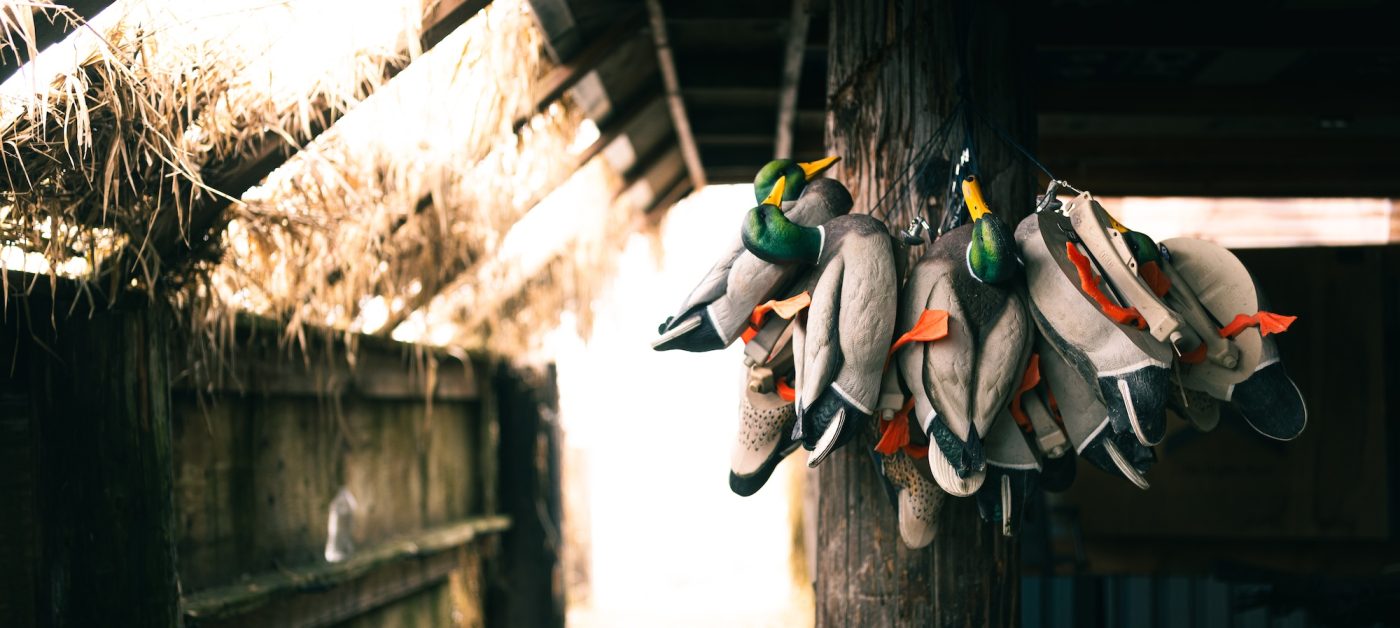 decoys hanging in a blind