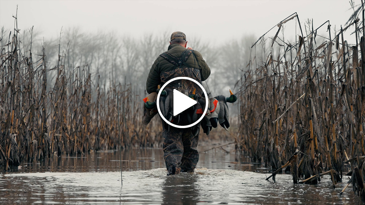 waterfowl hunter walking in flooded fields