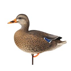 ACE Mallard | Full Body 6-Pack - Image 9