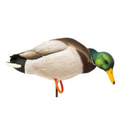 ACE Mallard | Full Body 6-Pack - Image 8