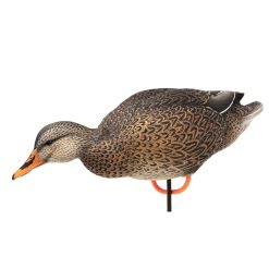 ACE Mallard | Full Body 6-Pack - Image 10