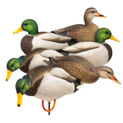 ACE Mallard Full Body