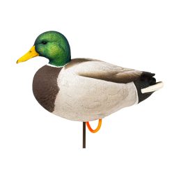 ACE Mallard | Full Body 6-Pack - Image 7