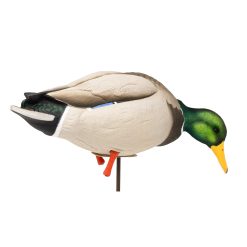 Maxima Mallards | Full Body 6-Pack - Image 4