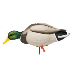 Maxima Mallards | Full Body 6-Pack - Image 3