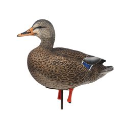 Maxima Mallards | Full Body 6-Pack - Image 5