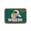 Wigeon